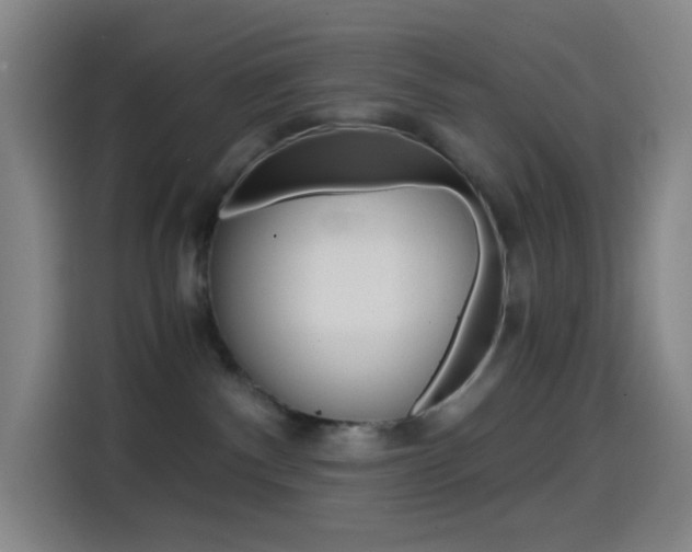 X0000114560140200910191019