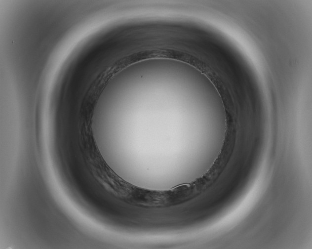 X0000114560143200910191019