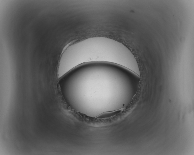 X0000114560144200910191019
