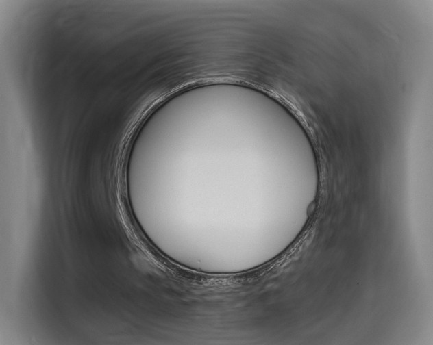 X0000114560145200910191018