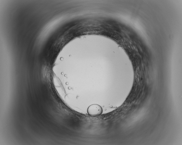 X0000114560146200910191018