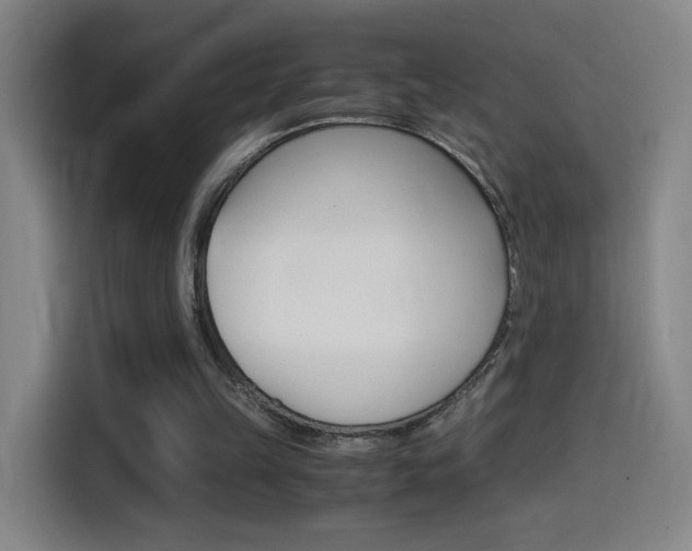 X0000114560149200910191018