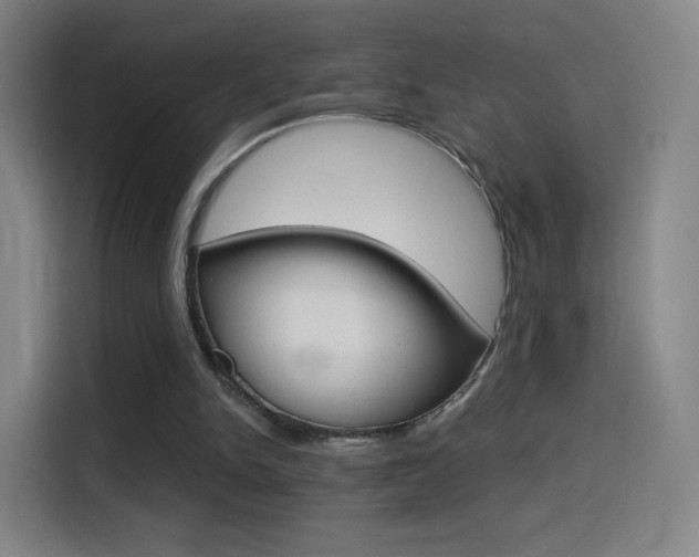X0000114560150200910191018