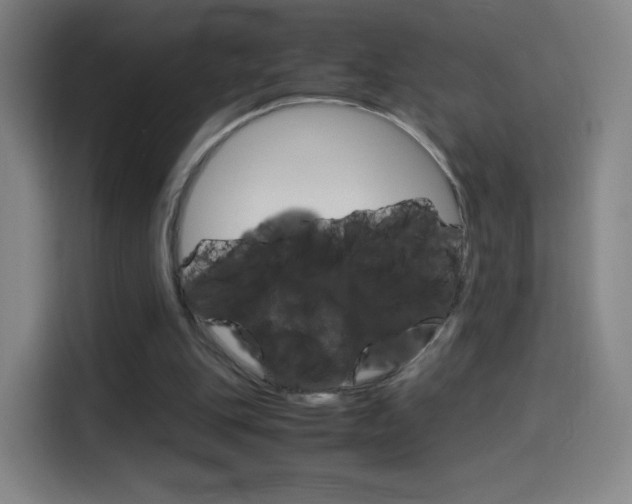 X0000114560151200910191018
