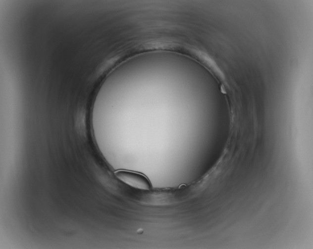 X0000114560154200910191018