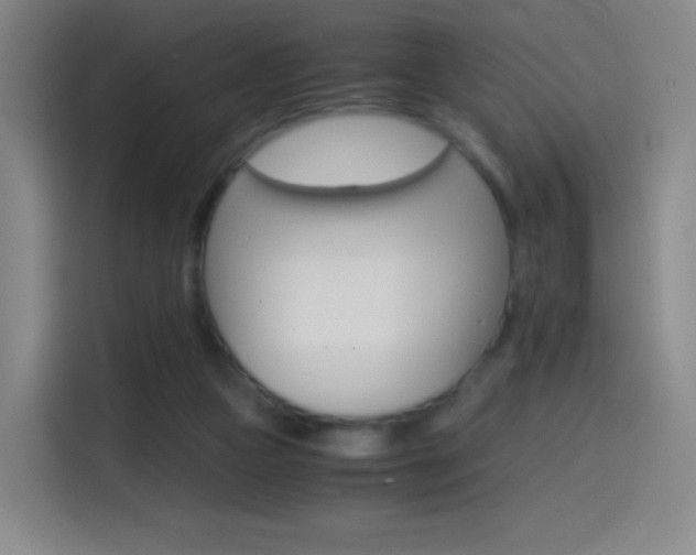 X0000114560161200910191018