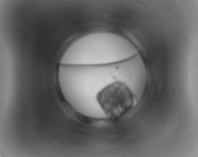 X0000114560163200910191018