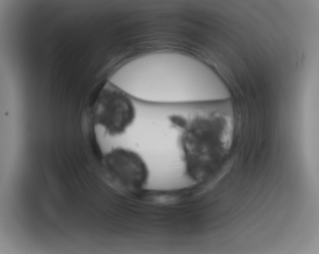 X0000114560165200910191018