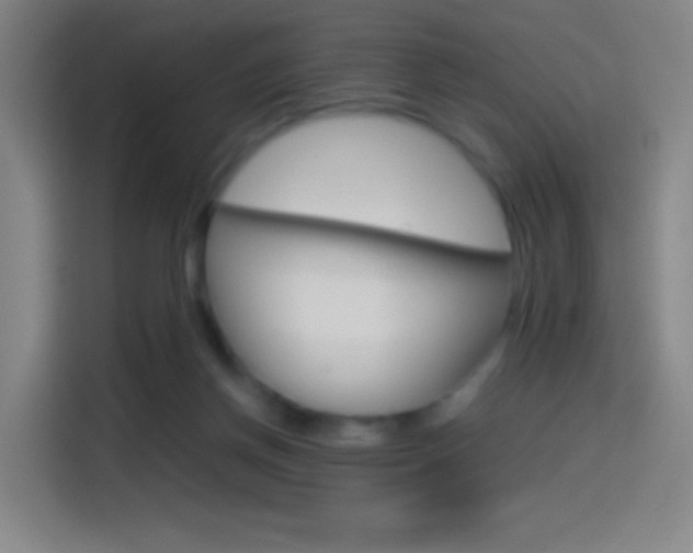 X0000114560166200910191018