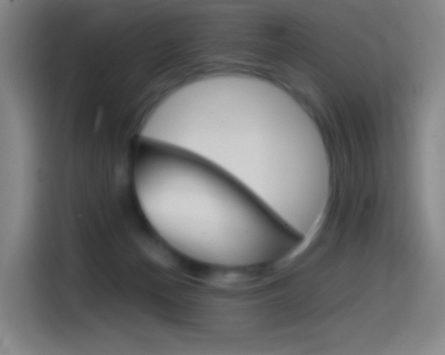 X0000114560174200910191018