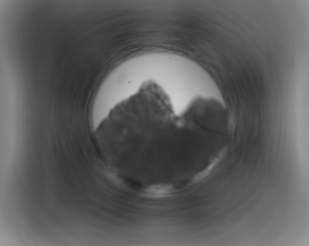 X0000114560179200910191018