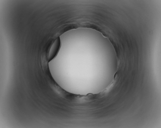 X0000114560186200910191019