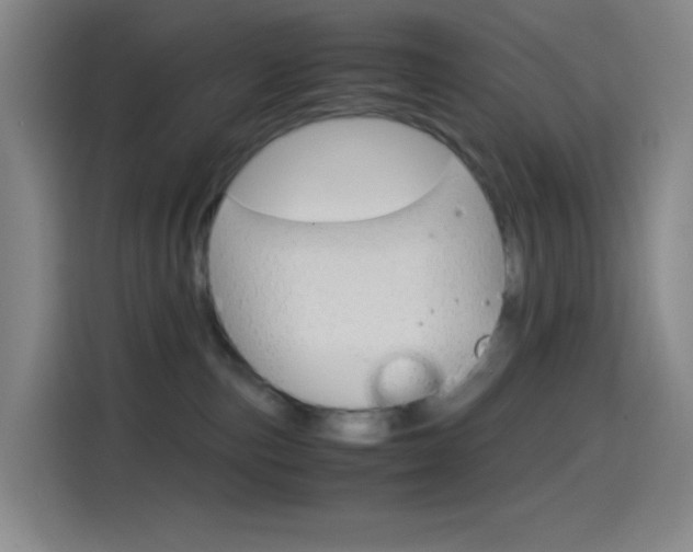 X0000114560187200910191019