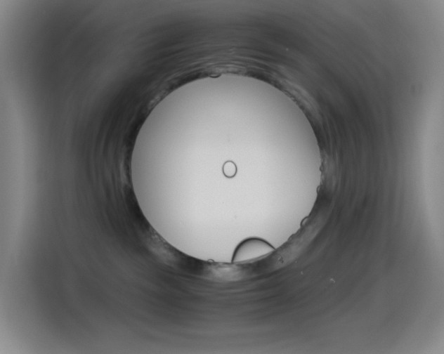 X0000114560189200910191019