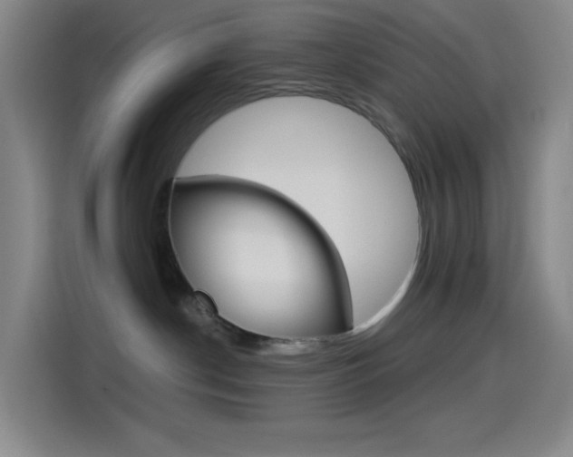 X0000114560190200910191019