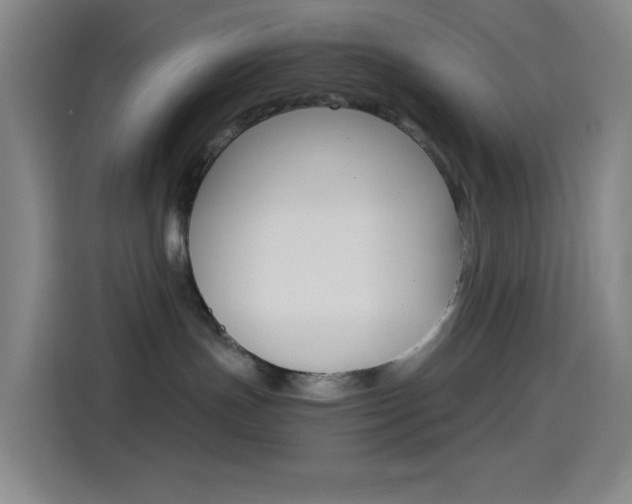 X0000114560191200910191019