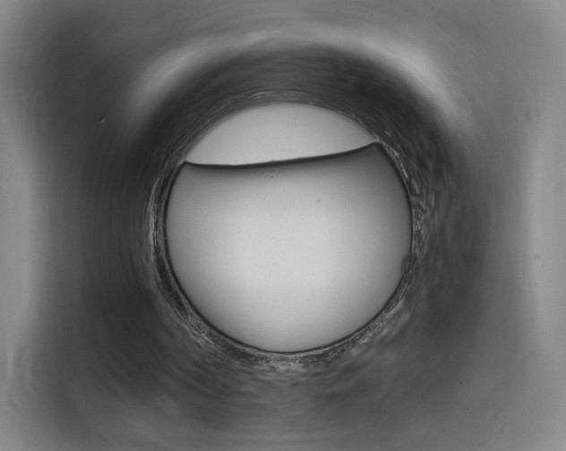 X0000114560194200910191018
