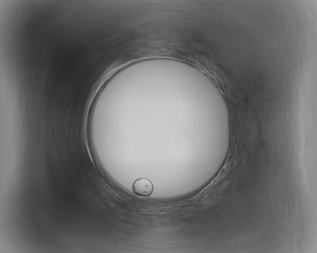 X0000114560195200910191018