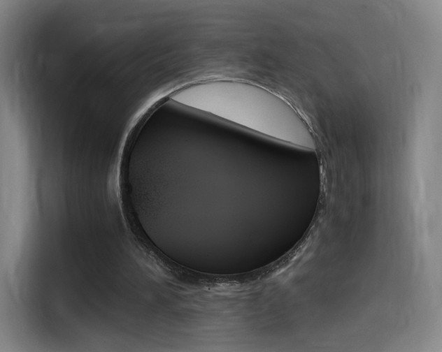 X0000114560196200910191018