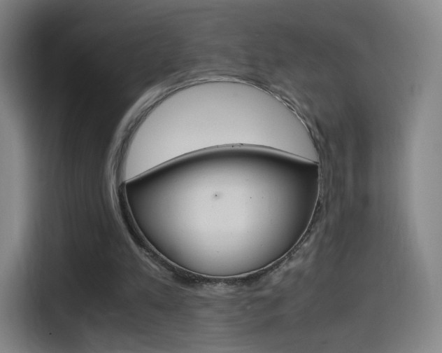 X0000114560197200910191018