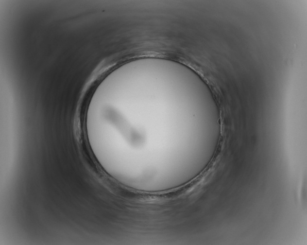 X0000114560198200910191018