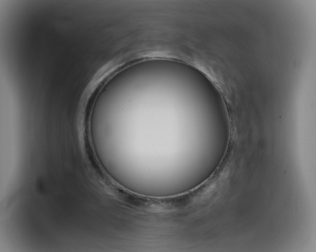 X0000114560199200910191018
