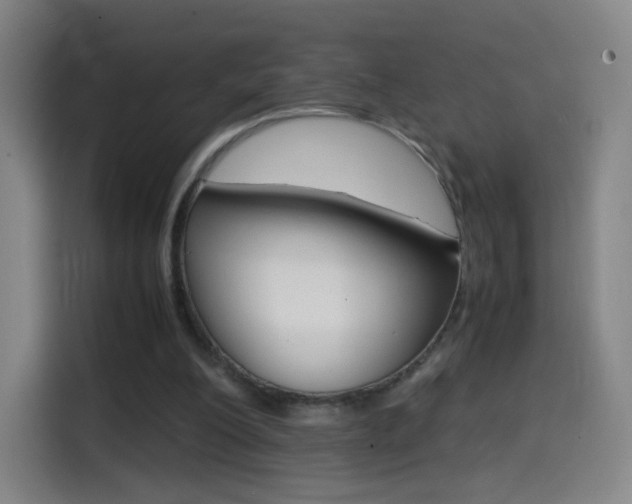 X0000114560200200910191018