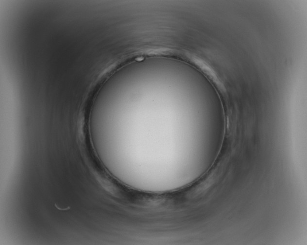 X0000114560201200910191018