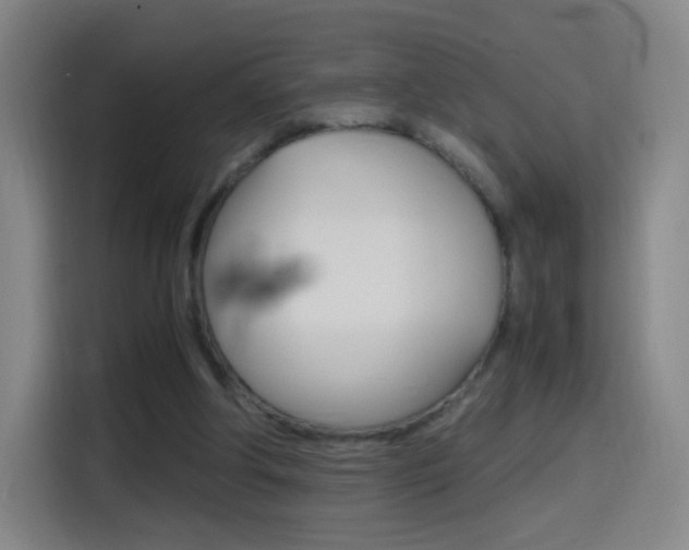 X0000114560202200910191018