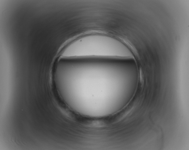 X0000114560204200910191018