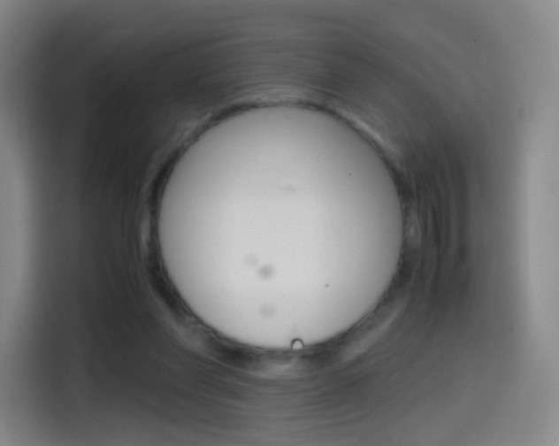 X0000114560206200910191018