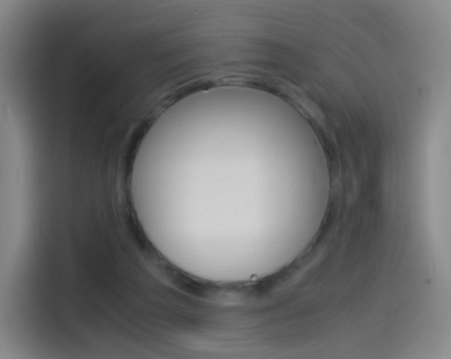 X0000114560209200910191018