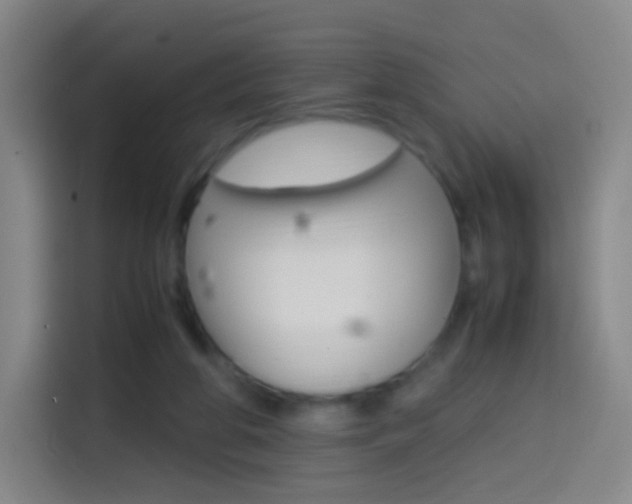 X0000114560210200910191018