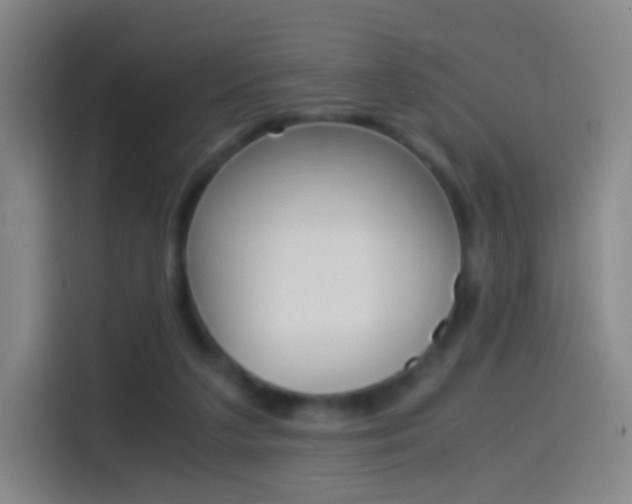 X0000114560211200910191018