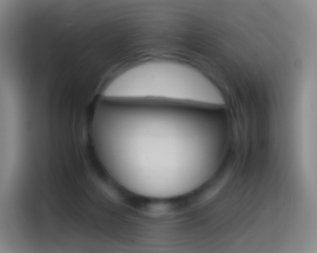 X0000114560216200910191018
