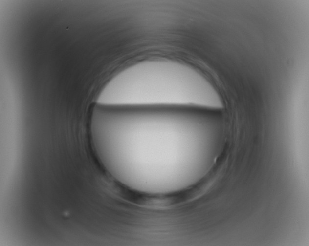 X0000114560217200910191018