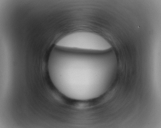 X0000114560220200910191018