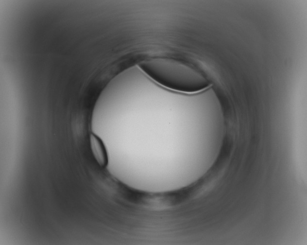 X0000114560221200910191018
