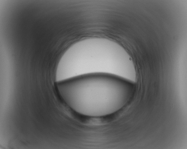 X0000114560227200910191018