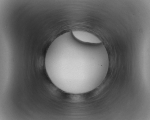 X0000114560230200910191017