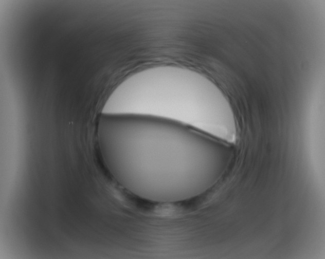 X0000114560231200910191017