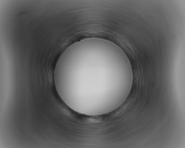 X0000114560232200910191017
