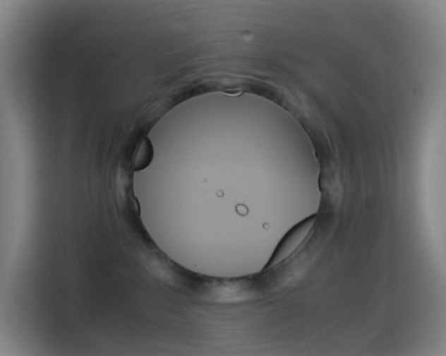 X0000114560235200910191017