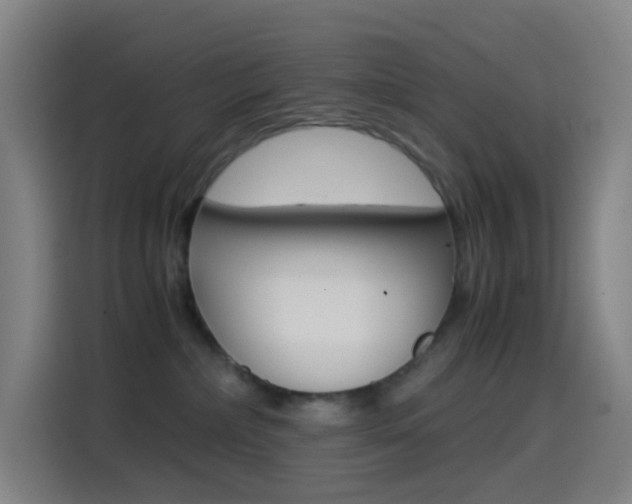 X0000114560236200910191017