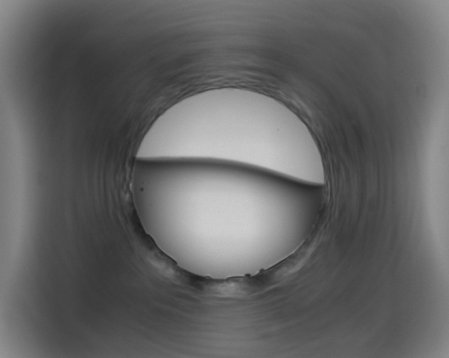 X0000114560237200910191017