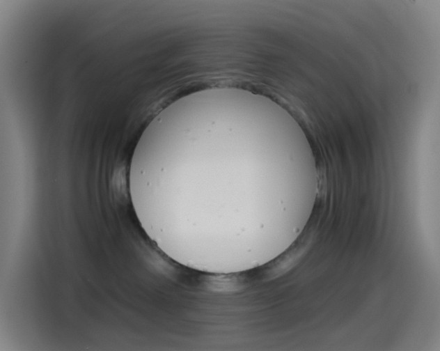 X0000114560238200910191017