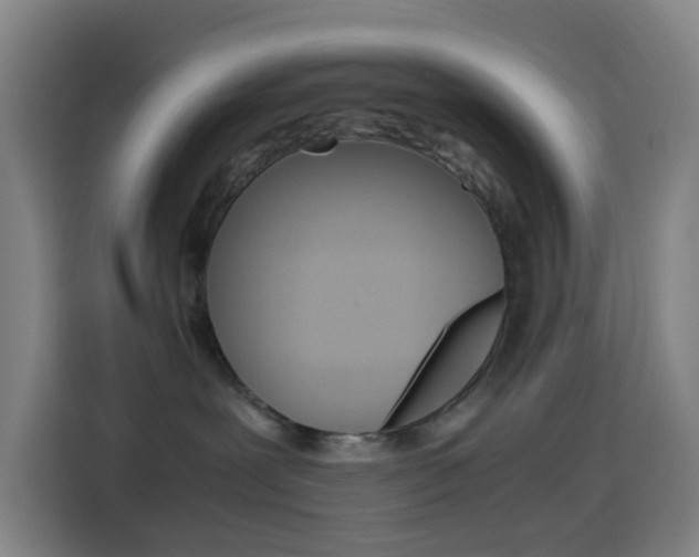 X0000114560239200910191017