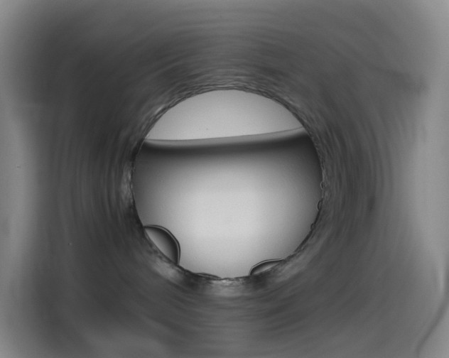 X0000114560240200910191017