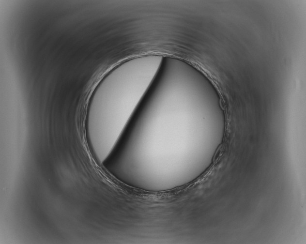 X0000114560241200910191017