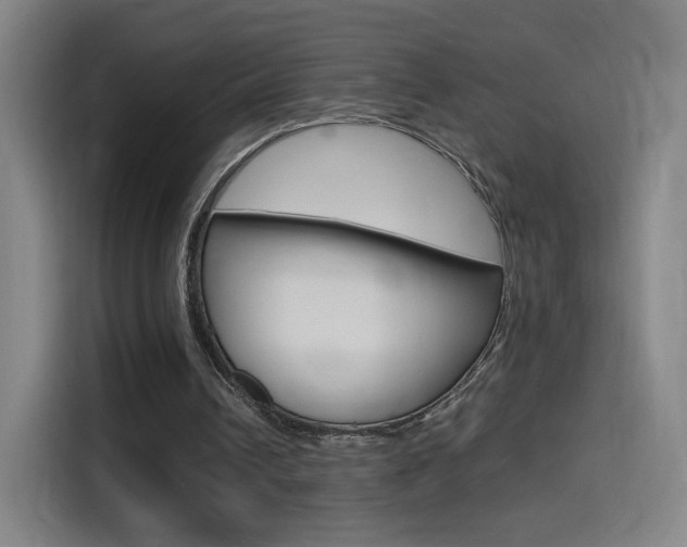 X0000114560242200910191017